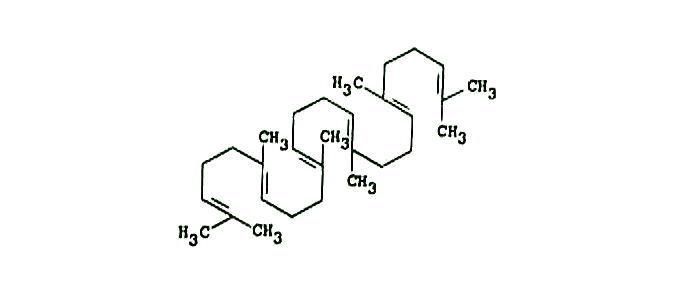 スクワレンとは